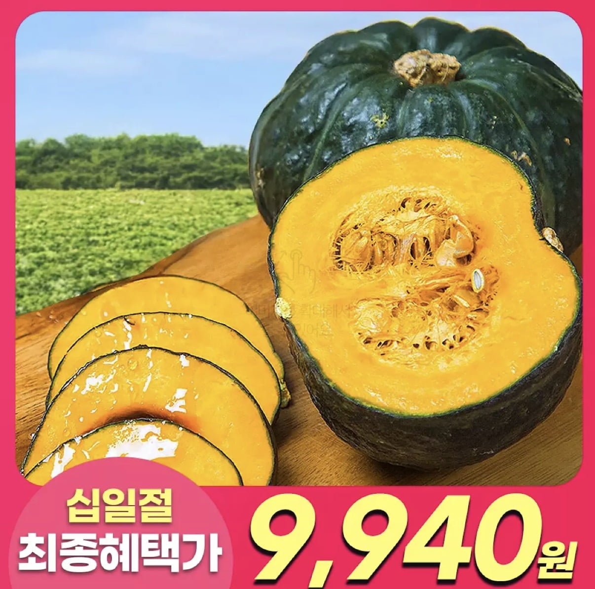 제주 햇 미니단호박 보우짱 2kg 특품