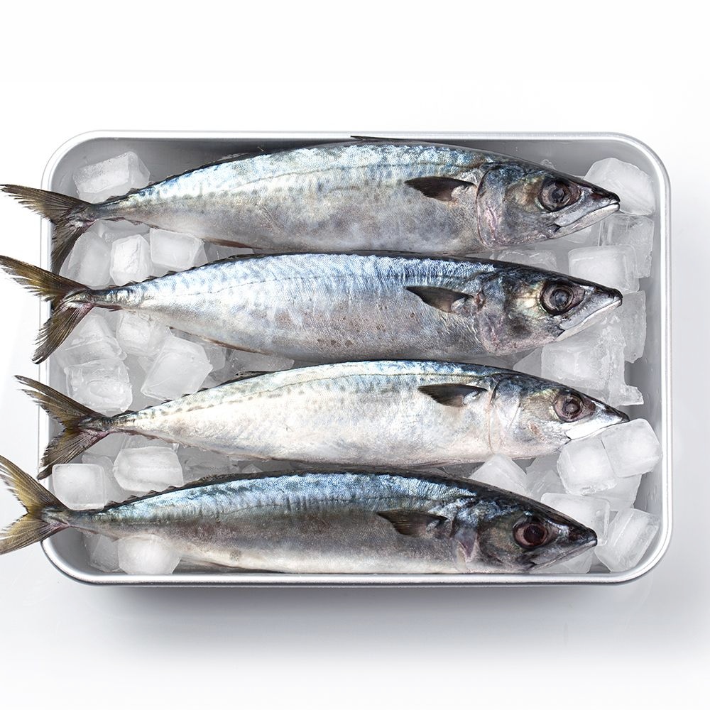국내산 부산 손질 자반고등어 10미 3.5kg 내외