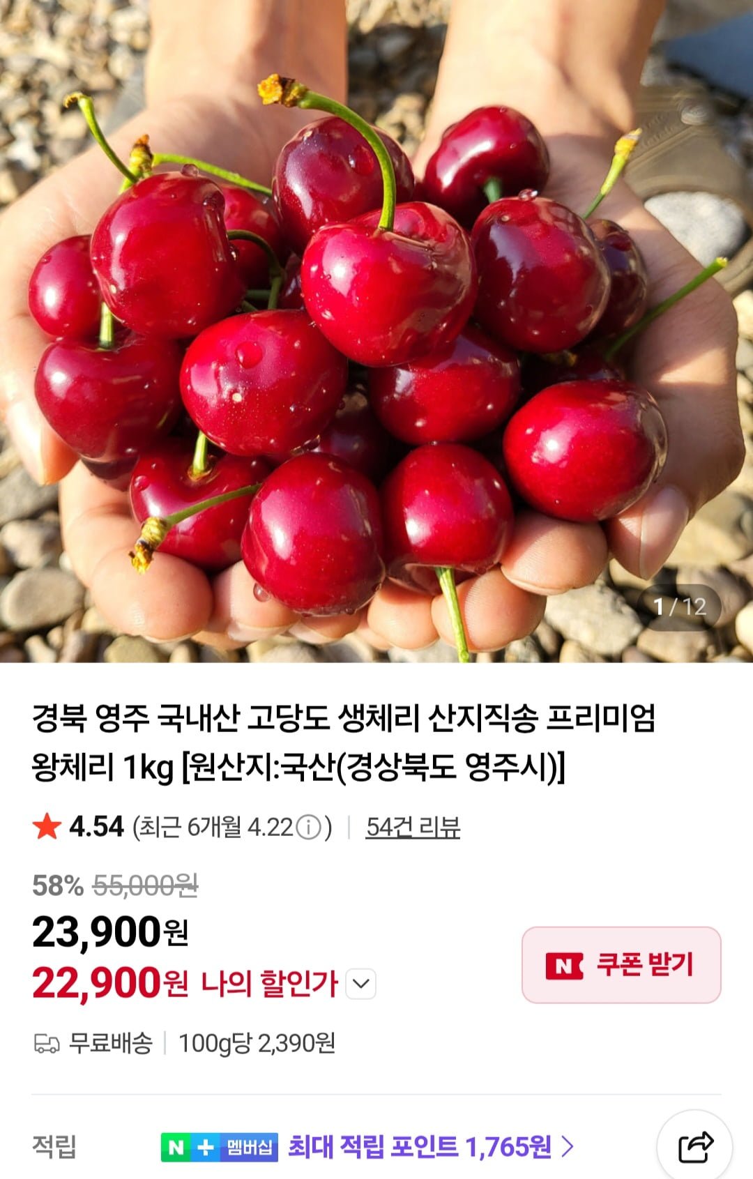 국내산 고당도 생체리 1kg
