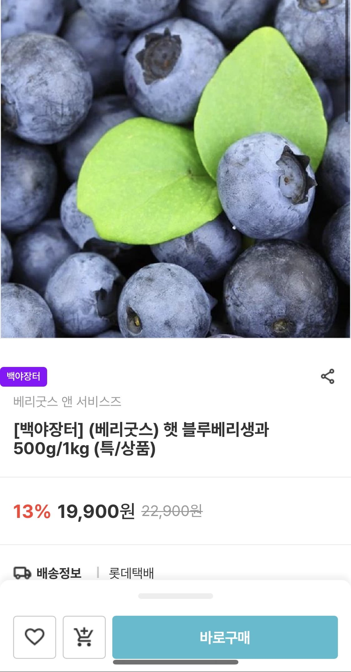 베리굿스 블루베리생과 500g/1kg