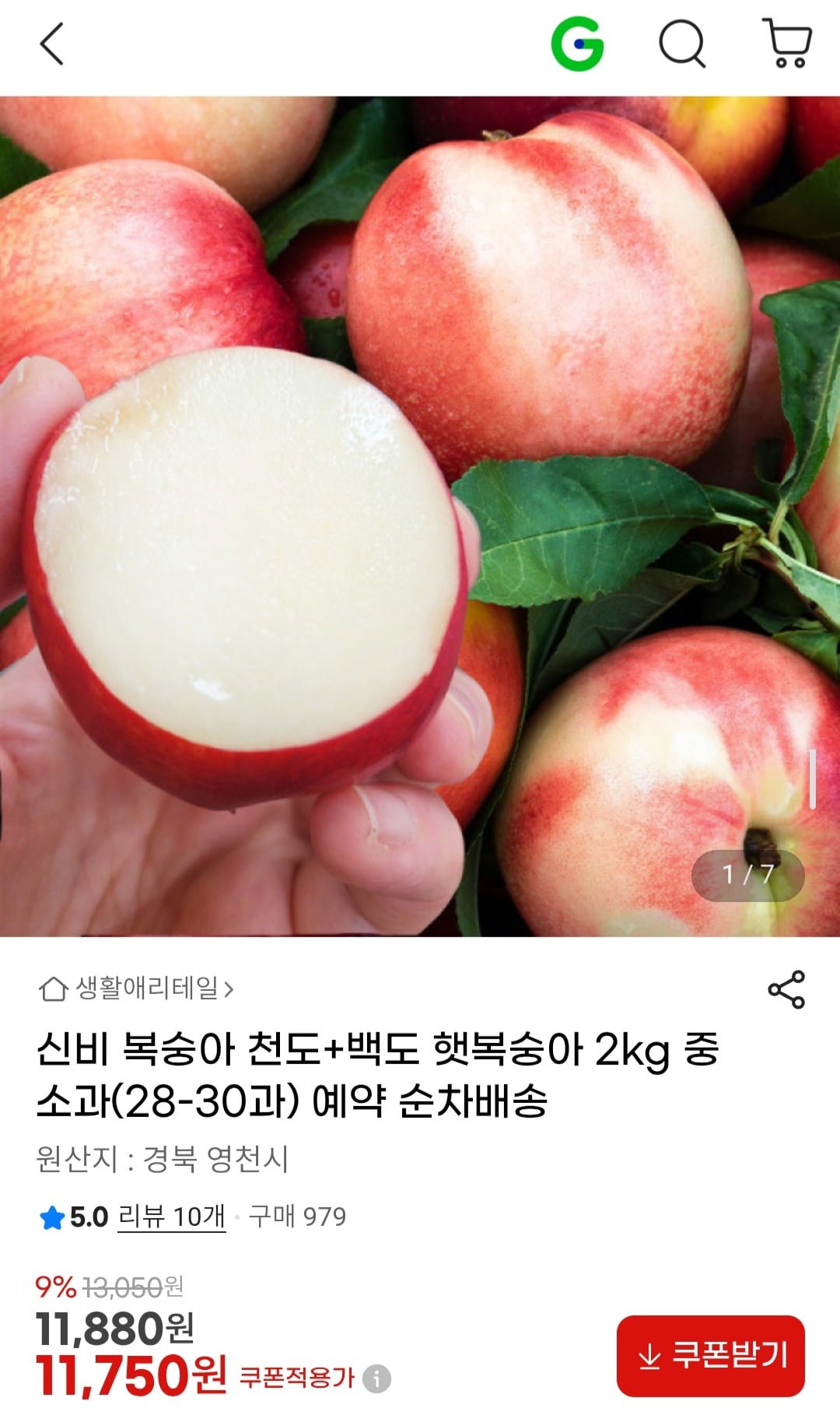 신비 복숭아 천도+백도 햇복숭아 2kg 중소과