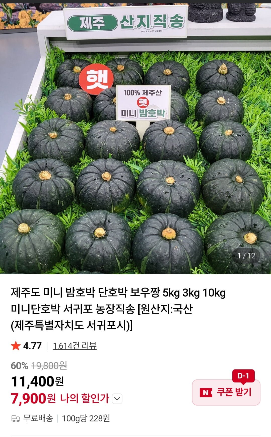 제주도 미니 밤호박 2kg
